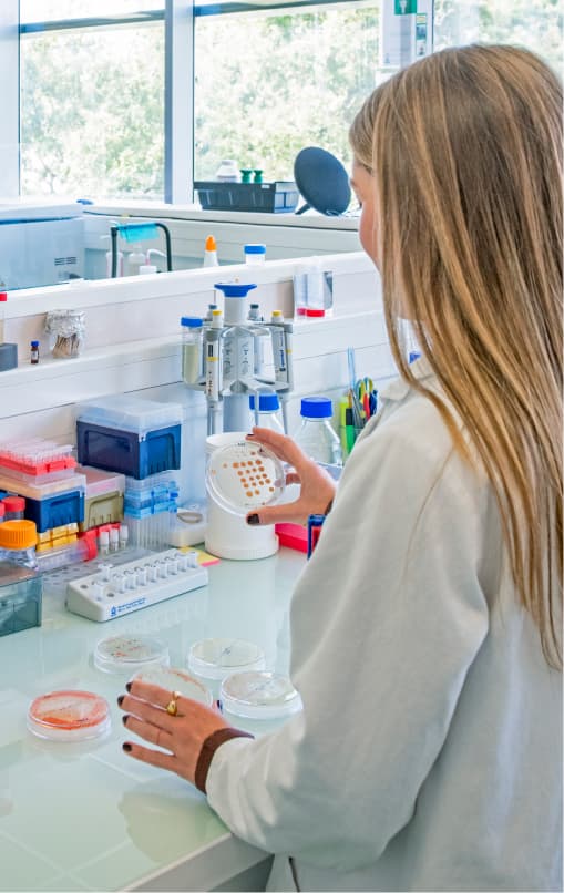 Strain Selection & Engineering